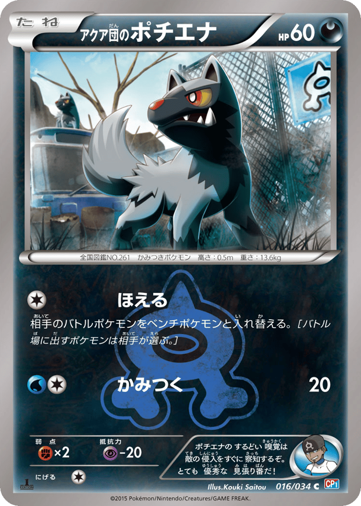 Team Aqua's Poochyena