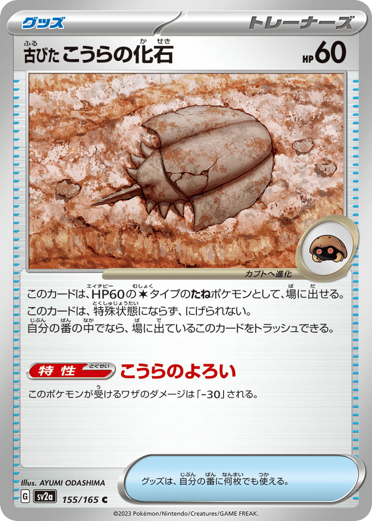 Antique Dome Fossil